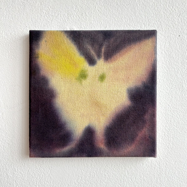 Moth 15