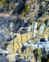 Transmigration