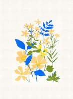Wildflowers #2